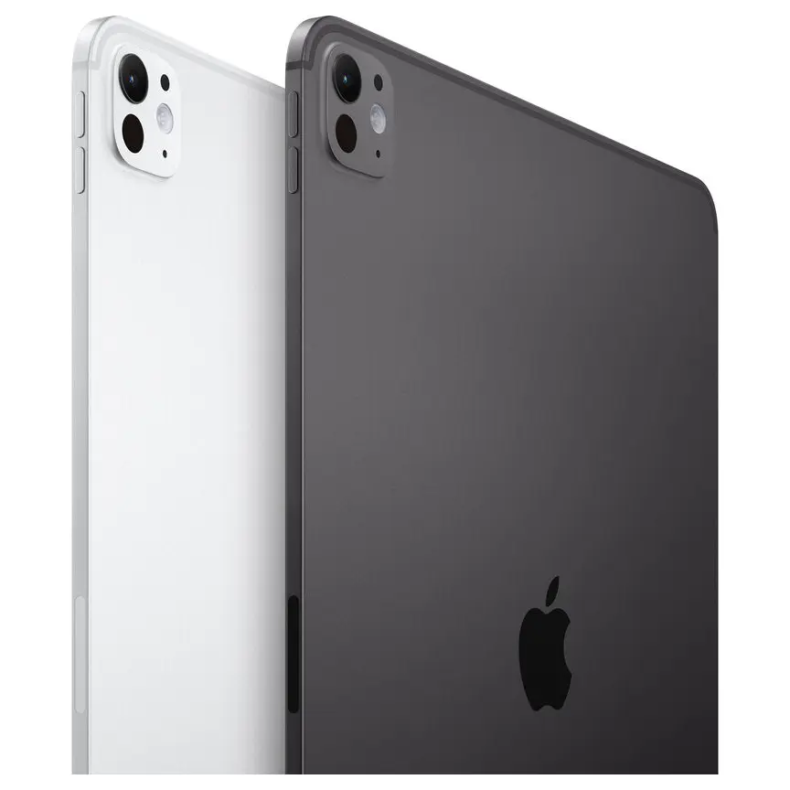 Apple 13